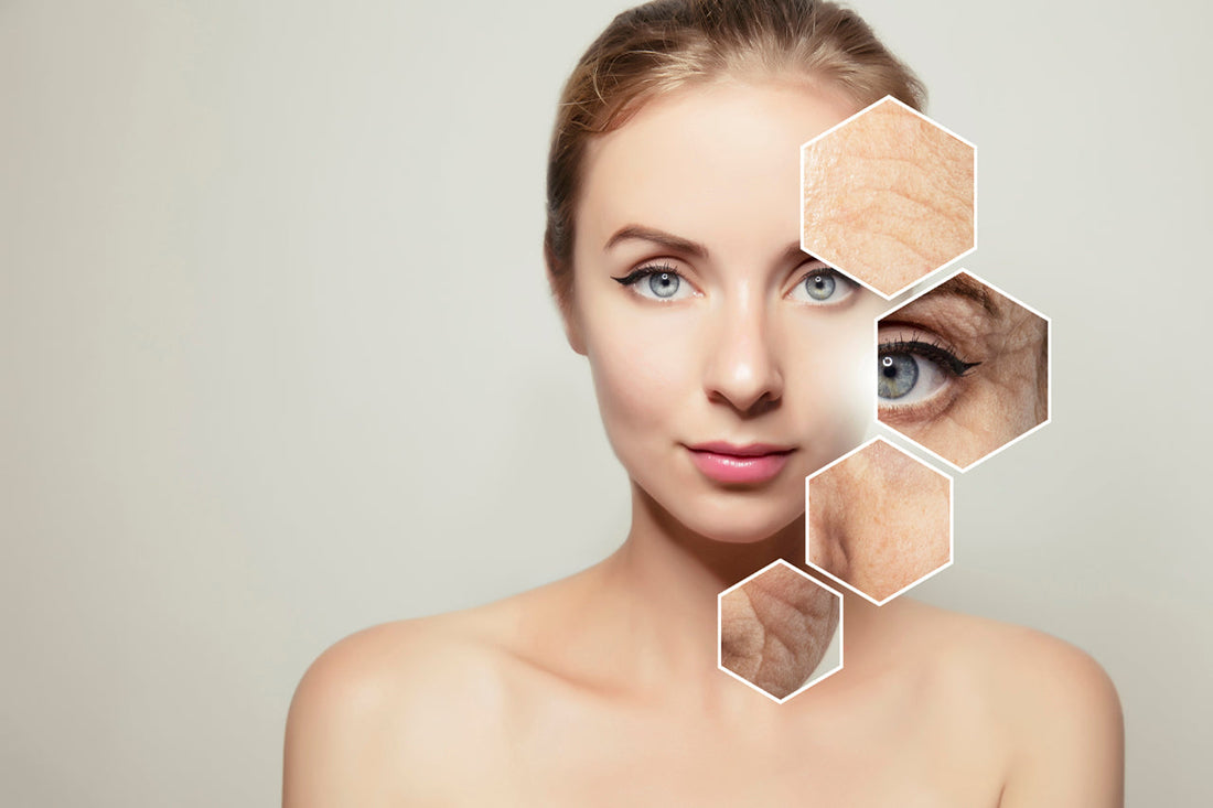 What are the effective anti-aging ingredients you must know?