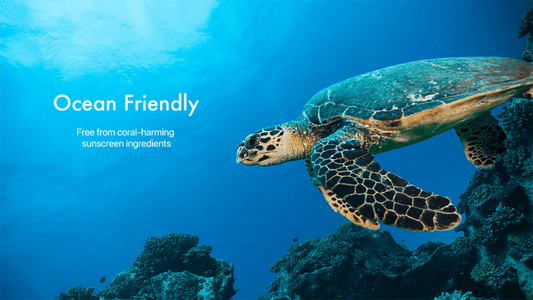 Why Ocean Friendly Sunscreen is a Must-Have for Your Skincare Routine
